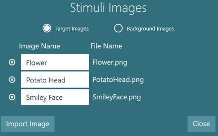 You can upload target images or background images. It displays both the image name and the file name. In the example, the user has uploaded three images: flower, potato head, and smiley face.