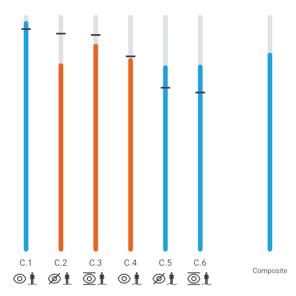 C.1 is eyes open, firm surface. C.2 is eyes closed, firm surface. C.3 is sway-referenced vision, firm surface. C.4 is eyes open, foam surface. C.5 is eyes closed, foam surface. C.6 is sway-referenced vision, foam surface.