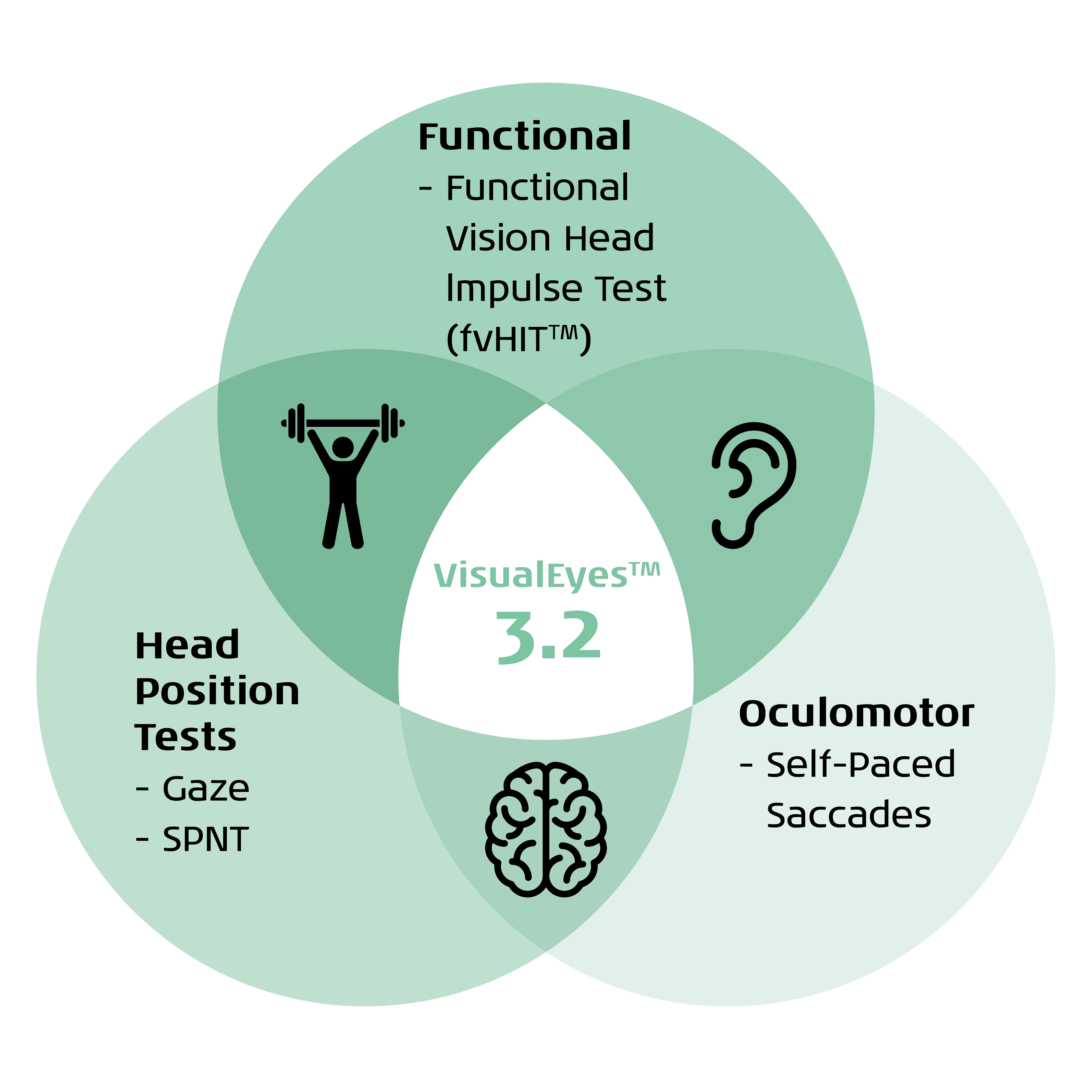 A Venn diagram with three bubbles: Functional, Oculomotor, and Head Position Tests. Under Functional, we have the Functional Vision Head Impulse Test. Under Oculomotor, we have Self-Paced Saccades. Under Head Position Tests, we have the Gaze and Smooth Pursuit Neck Torsion tests.