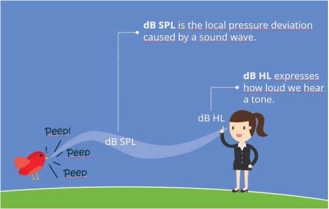 In this example, a girl can hear a bird peeping. dB SPL is the local pressure deviation caused by a sound wave, thus the actual sound pressure level of the bird's peep. dB HL is the intensity at which we can hear the sound, allowing the girl to hear the bird's peep.